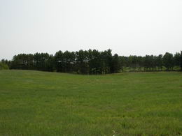 Country homes for sale and luxury real estate including horse farms and property in the Caledon and King City areas near Toronto